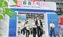 厦门24小时爆料新闻,风云变幻，热点速递